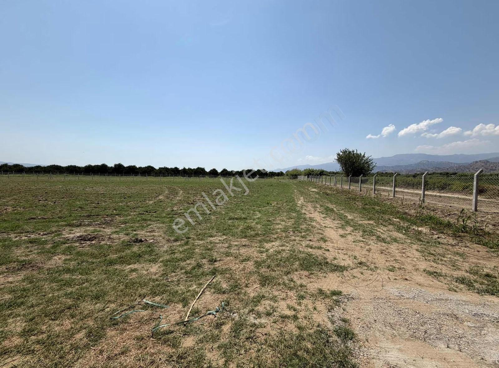 Sultanhisar Atça Mah. Satılık 4.815m2 Tarla - Görsel 10
