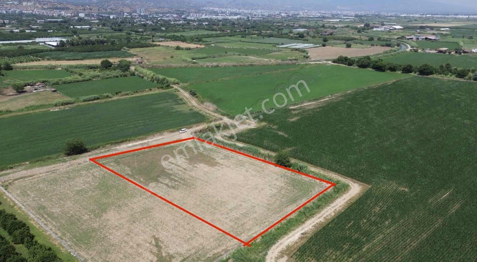 Sultanhisar Atça Mah. Satılık 4.815m2 Tarla - Görsel 2