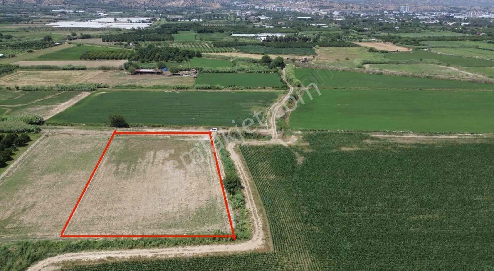 Sultanhisar Atça Mah. Satılık 4.815m2 Tarla - Görsel 7