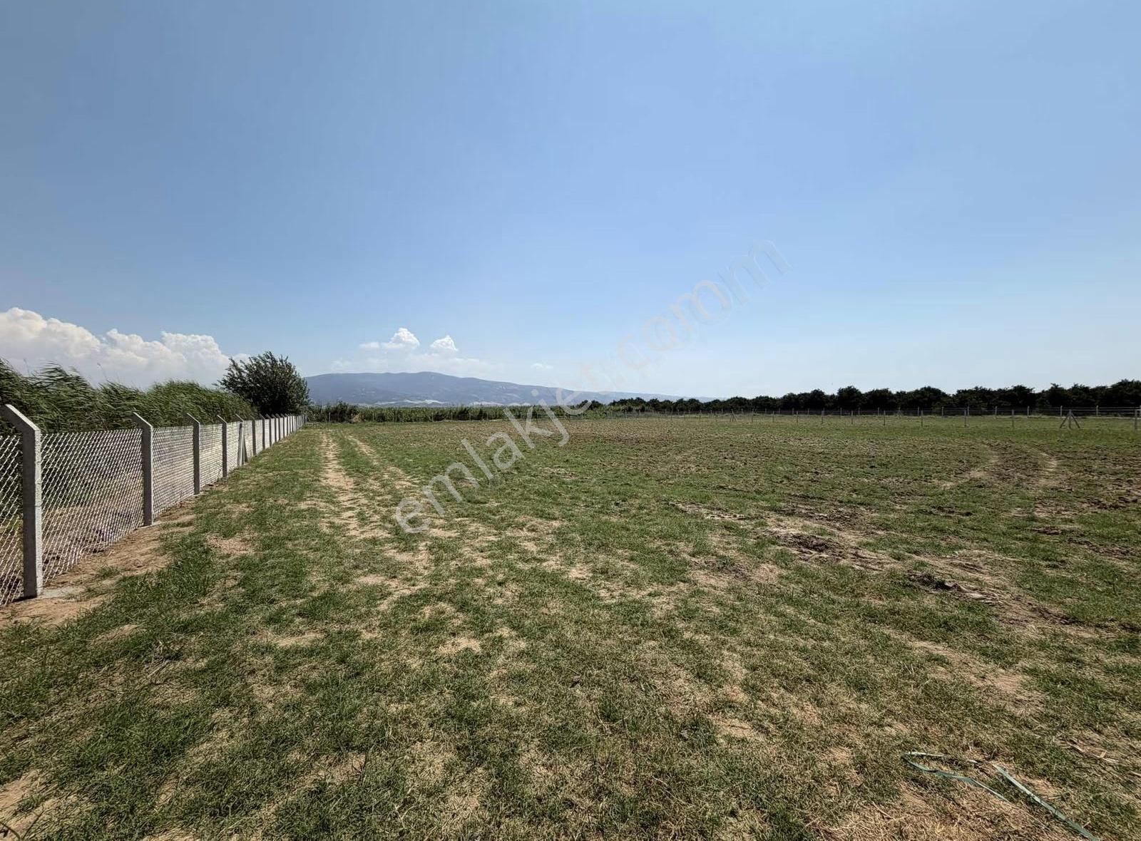 Sultanhisar Atça Mah. Satılık 4.815m2 Tarla - Görsel 6