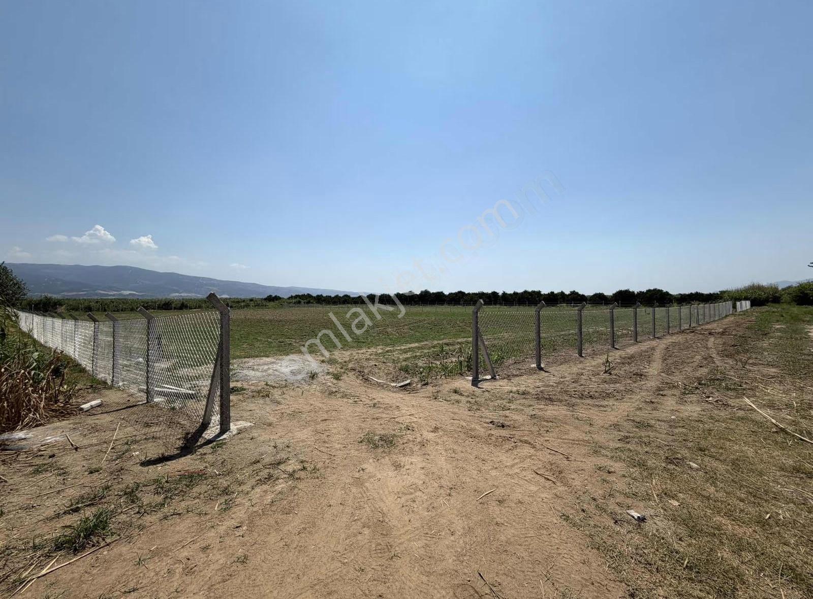 Sultanhisar Atça Mah. Satılık 3.457 M2 Tarla - Görsel 11