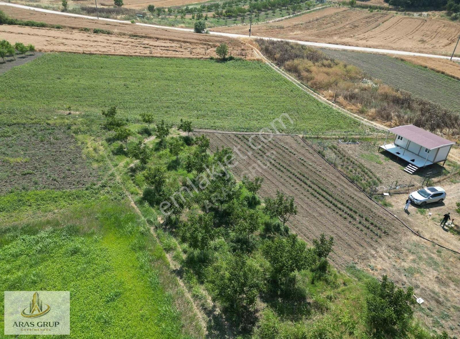 Nilüfer Büyükbalıklı'da Tek Tapu 356 M2 Satılık Tarla - Görsel 3