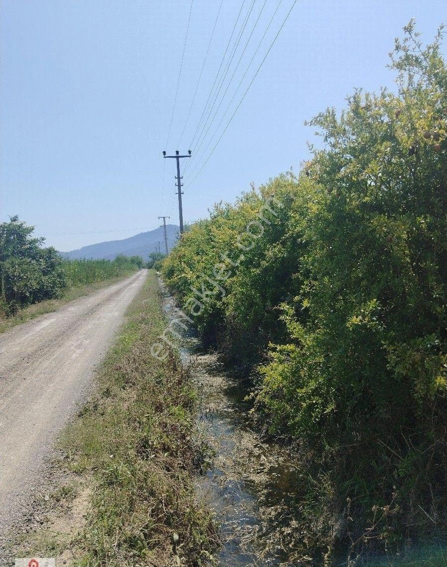 Muğla Eskiköy De Satılık Arazi