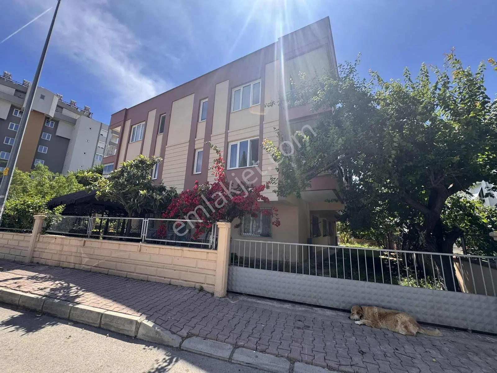 Güzeloba Da Katta 2+1 Kiralık Daire