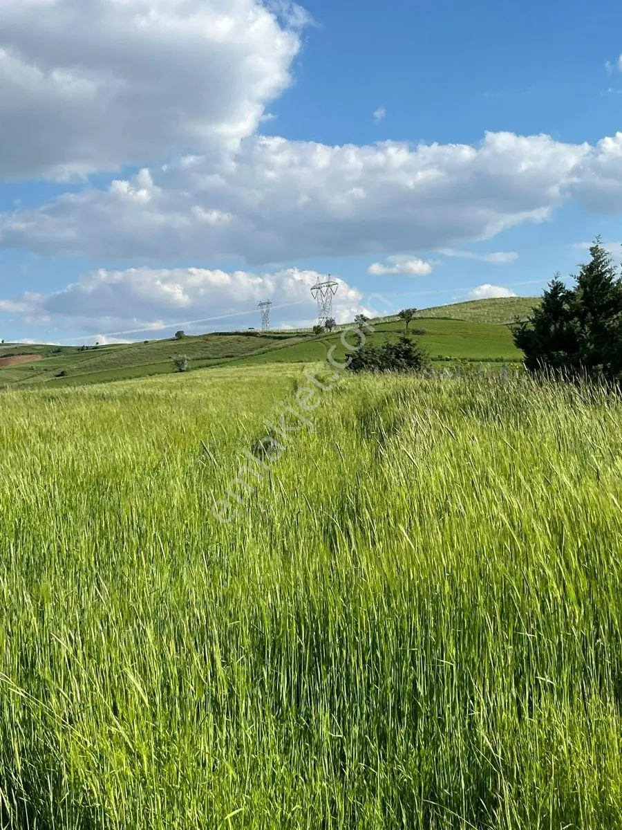 Akyurt Karacalar Mah 258m2 Hisse Tapulu Tarlalar.... - Görsel 15