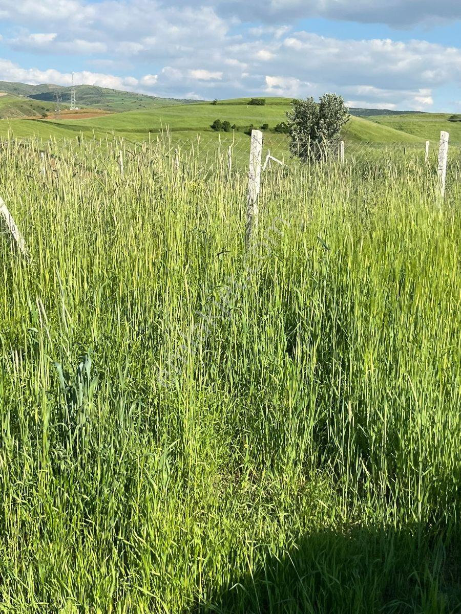Akyurt Karacalar Mah 258m2 Hisse Tapulu Tarlalar.... - Görsel 12