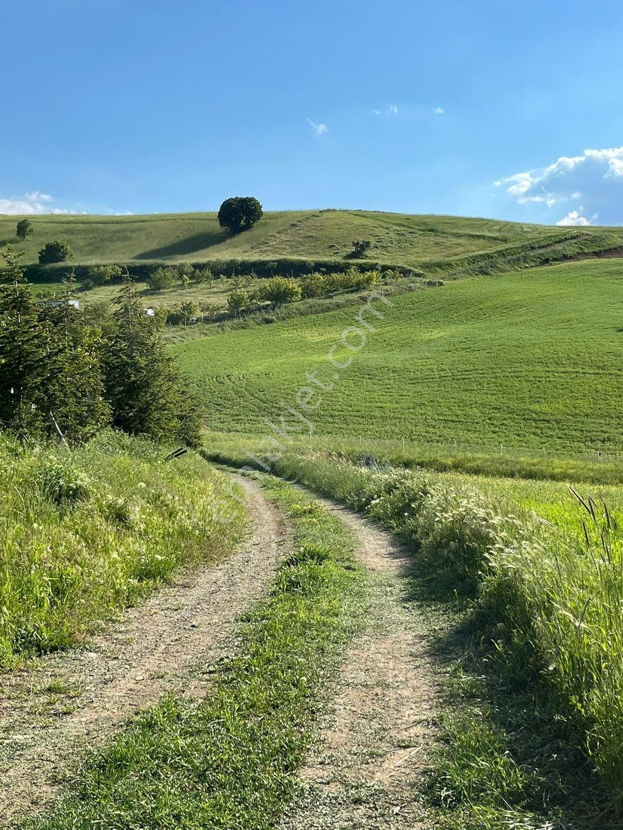 Akyurt Karacalar Mah 258m2 Hisse Tapulu Tarlalar.... - Görsel 2