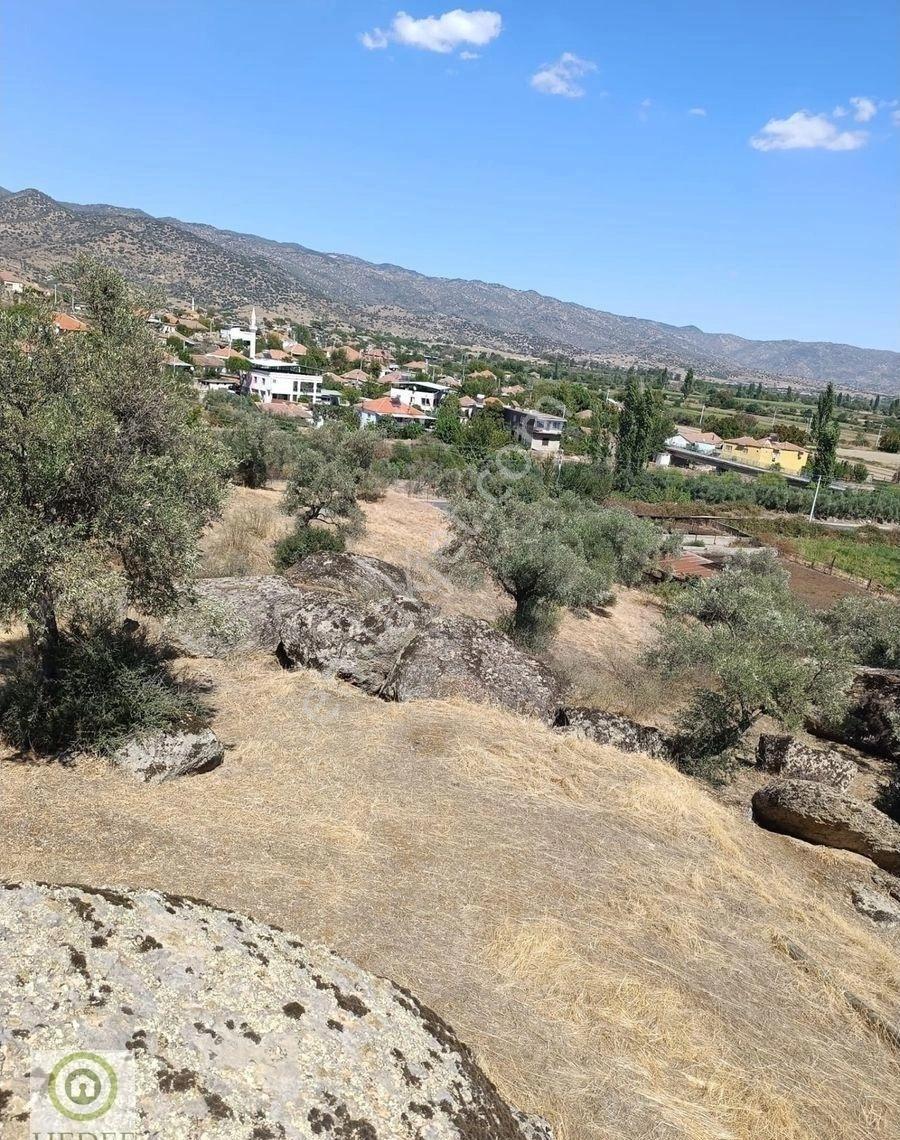 Aydın / Karpuzlu / Gölcük’te Asfalta Cepheli 18,972 M² Satılık Zeytinlik / 3 Taraftan Kadastro Yolu - Görsel 11