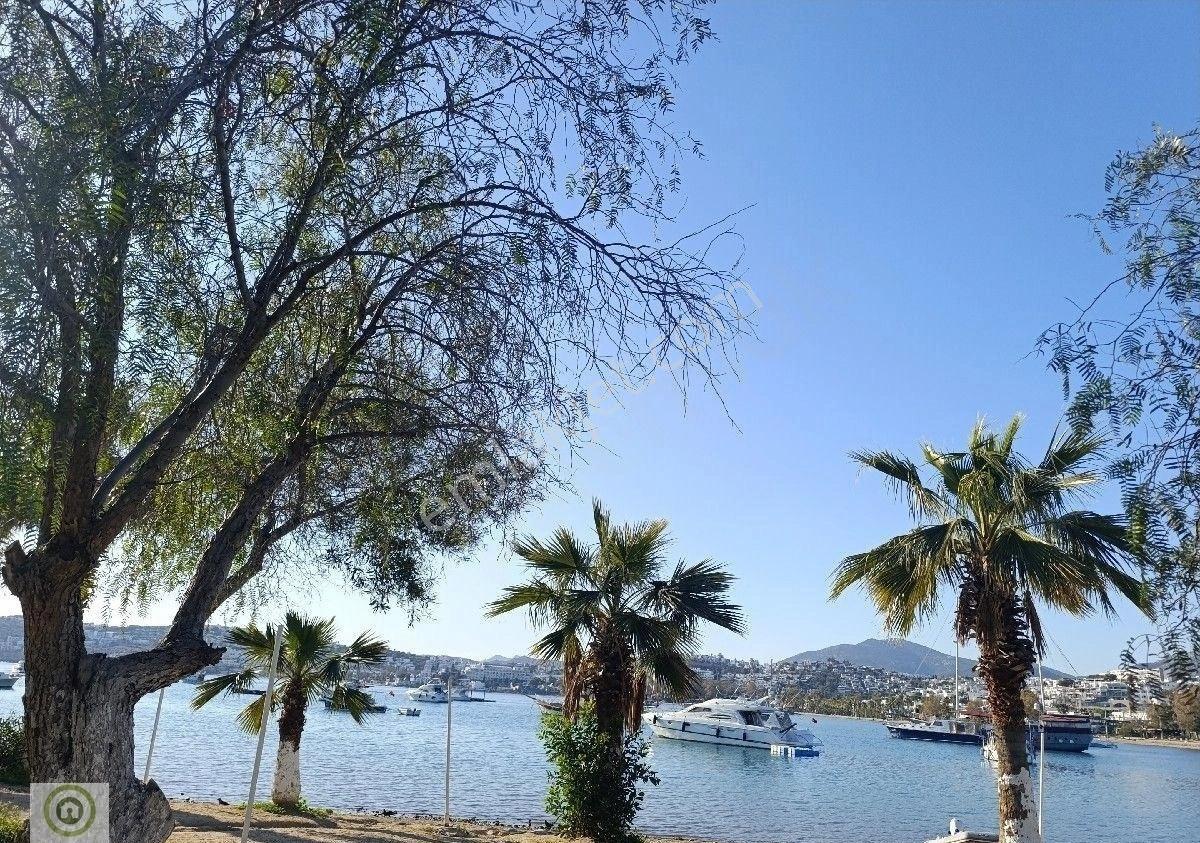 Bodrum Gümbet Tatil Tadında Yaşam Denize Sıfır Havuzlu Kiralk Eşyalı Geniş 1+1