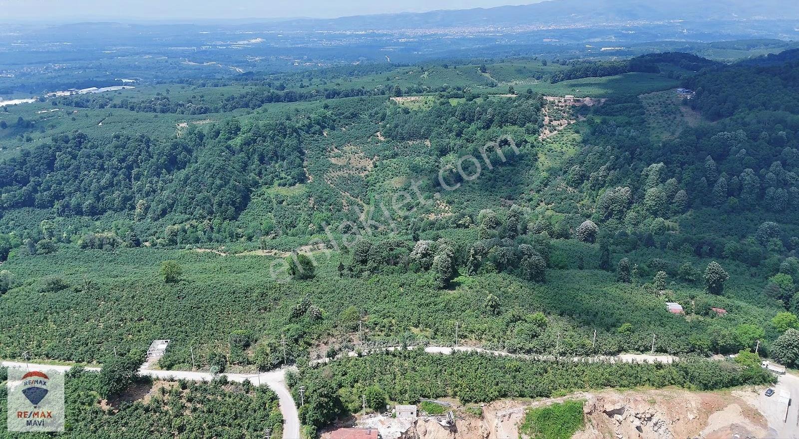 Çamlıca Da Resmi Yolu Bulunan 14.231 M2 Satılık Arazi