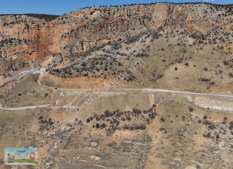 Konya Bozkır Yelbeği Mahallesi'nde 1.072 M² Müstakil Tapulu Bağ - Görsel 6