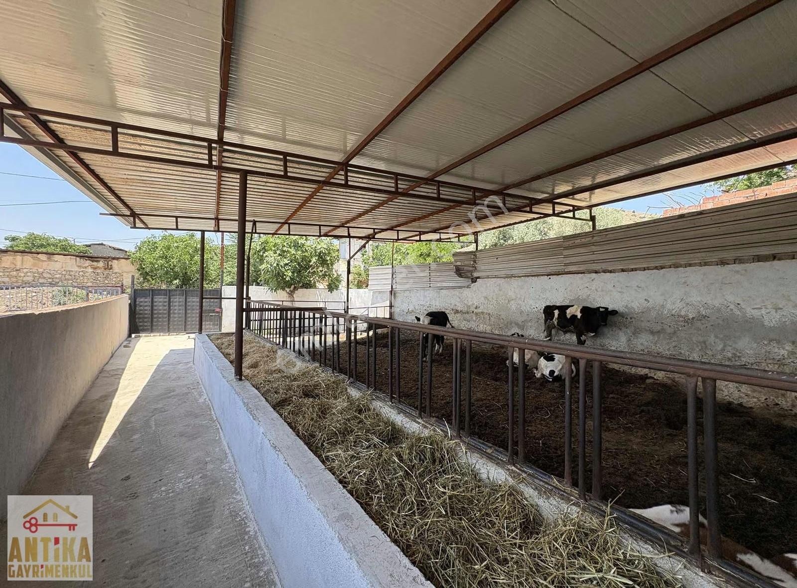 Antika'dan Kaymakçı'da Çiftlik Yaşamına Uygun Müstakil Ev - Görsel 19