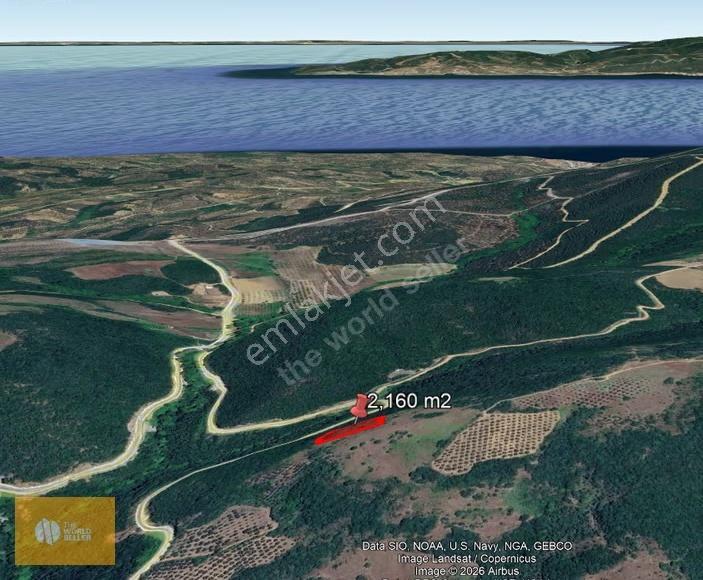 The World Seller'den Mudanyada Deniz Manzaralı Fırsat Tarla - Görsel 4