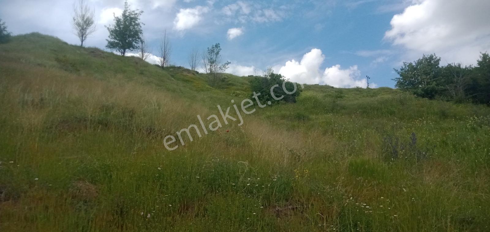 Ayaş Gökler Satılıksatılık 3000 M2 Bahçeli Ev 1+1 - Görsel 35