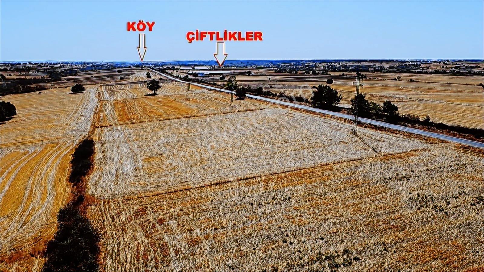 Kırklareli Merkez Tekkeşeyhler Köyünde Anayola Cephe Tarla - Görsel 9