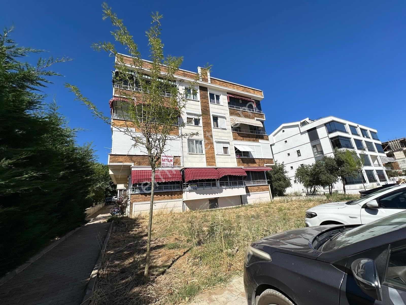 Denize Sıfır Yılandar Da 3+1 Fırsat Uygun Fiyatlı - Görsel 11