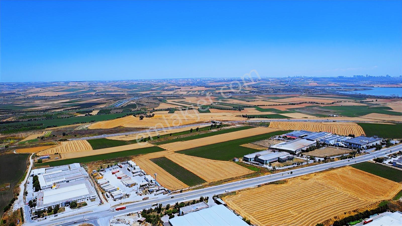 Çatalca Ferhatpaşa Ticaret Depolama İmarlı 4.563m2 Satılık Arsa - Görsel 7