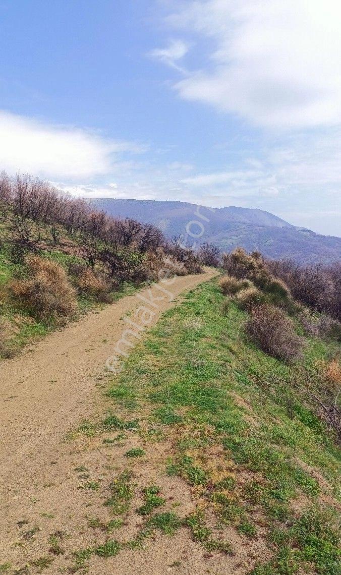 Şarköy Uçmakdere De Deniz Ve Adalar Manzaralı Satılık 1536 M2 Bağ Yeri - Görsel 14