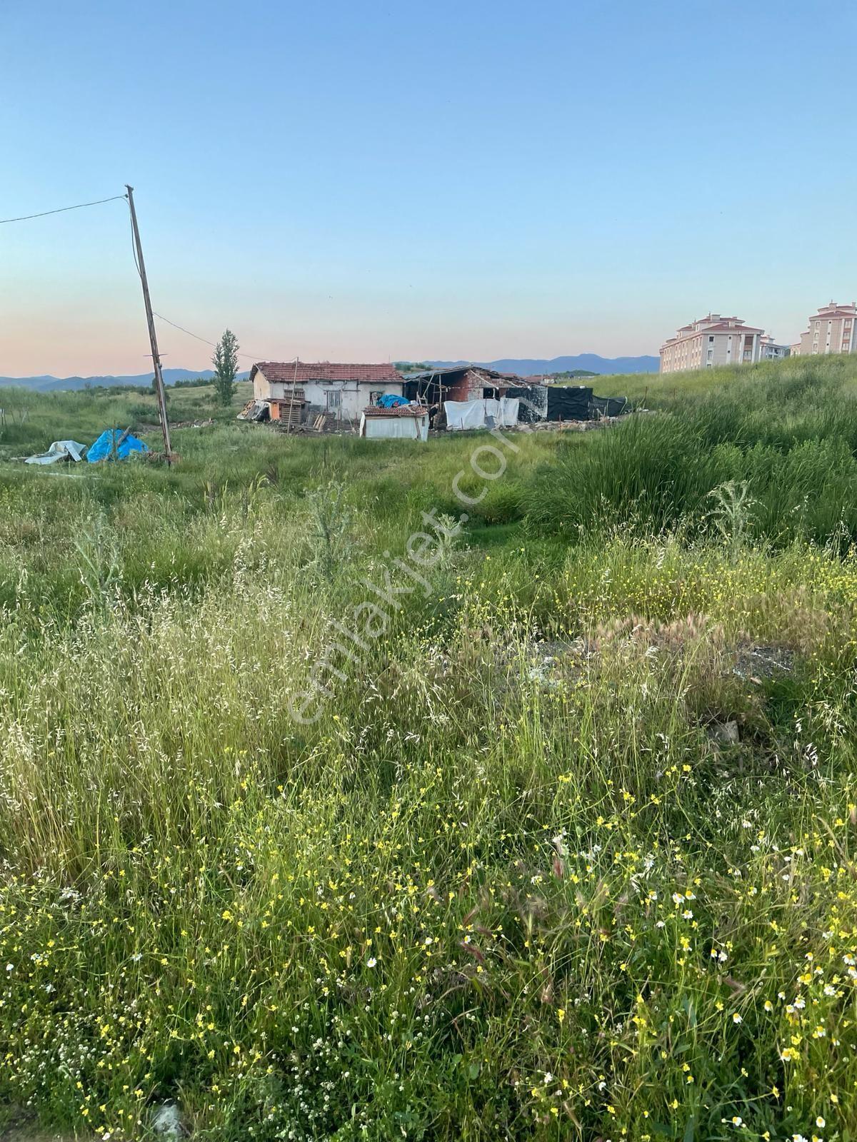 Sındırgı Yağcıbedir'de Yerleşime Yakın, Altyapısı Hazır 500m² Müstakil Arsa & Tesis - Görsel 8