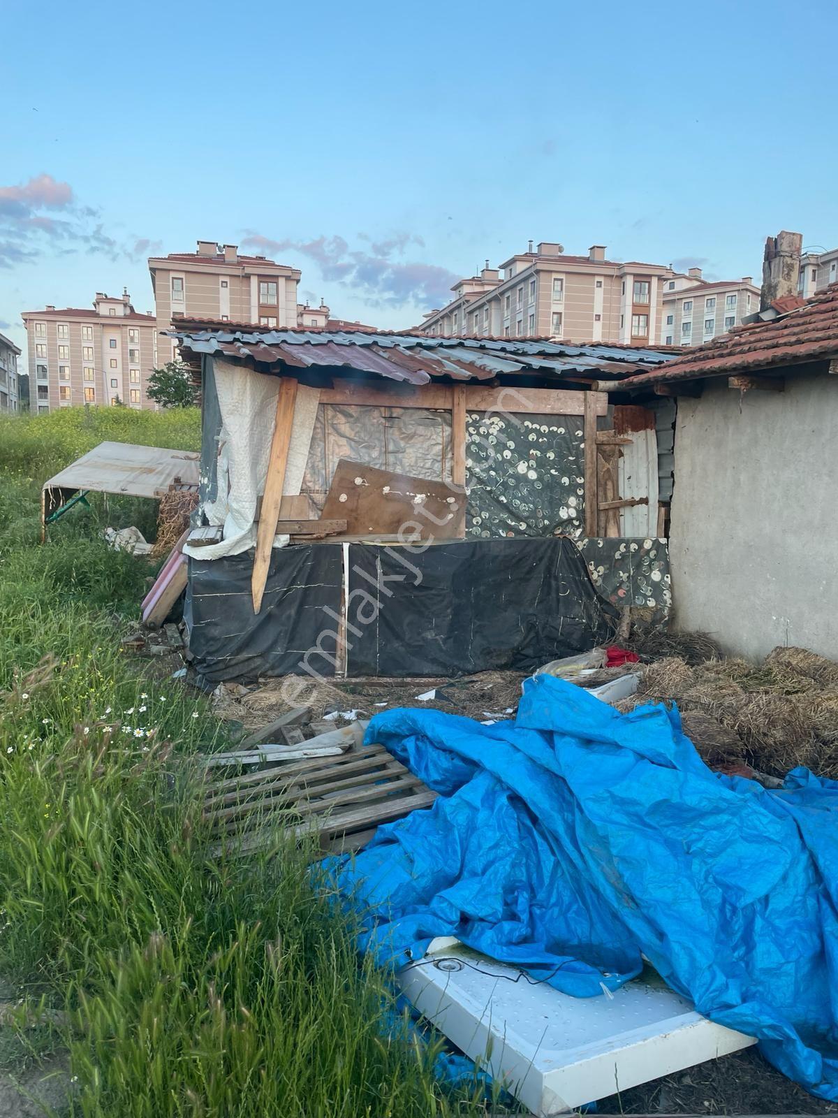 Sındırgı Yağcıbedir'de Yerleşime Yakın, Altyapısı Hazır 500m² Müstakil Arsa & Tesis - Görsel 4