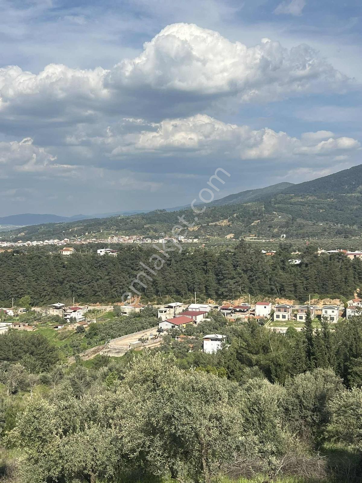 Kızılcada Villaların Karşısında Satılık 1 Dönüm Fırsat Bahçe - Görsel 2