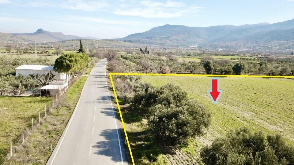 Acil ! Asfalt Yola Sıfır Mükemmel Konumda Yatırımlık Tarla - Görsel 2