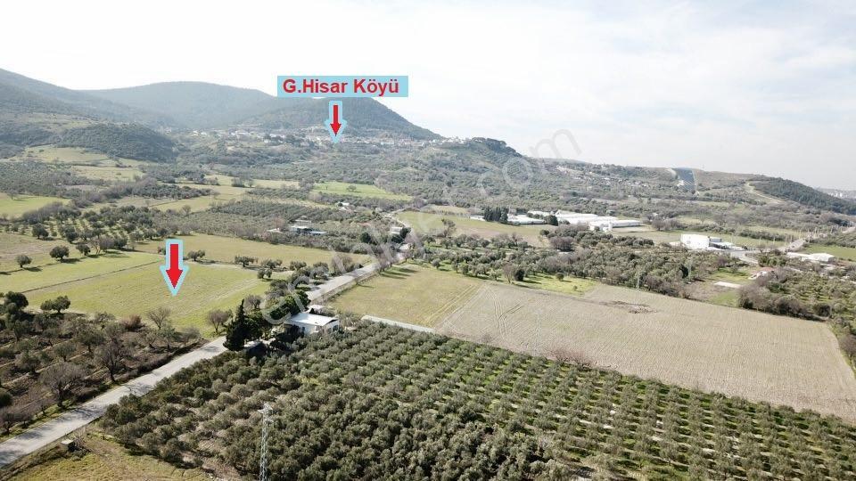 Acil ! Asfalt Yola Sıfır Mükemmel Konumda Yatırımlık Tarla - Görsel 19