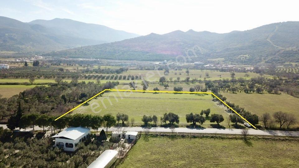 Acil ! Asfalt Yola Sıfır Mükemmel Konumda Yatırımlık Tarla - Görsel 17