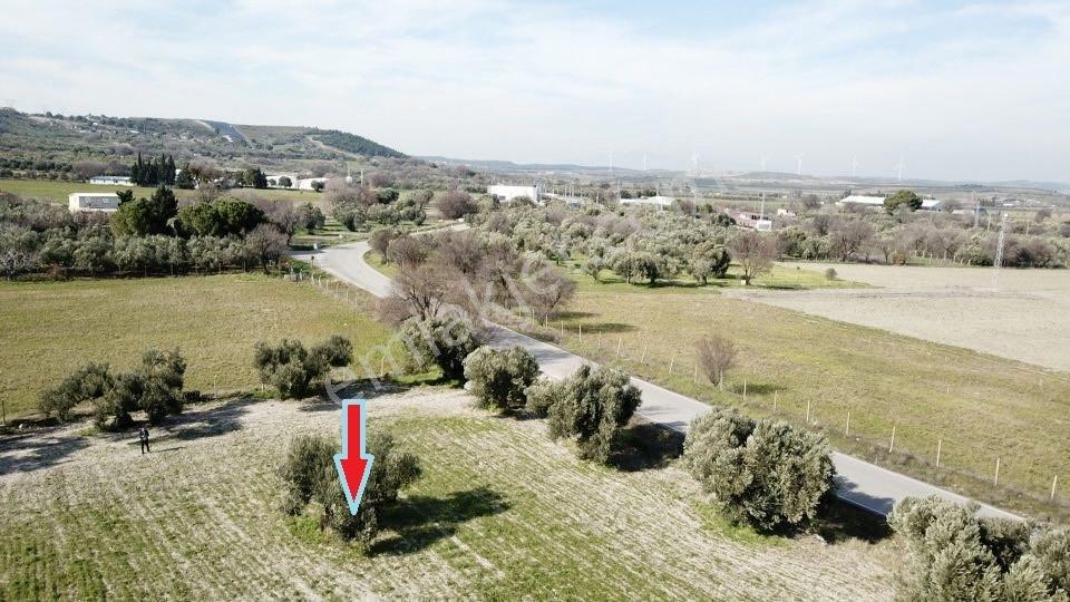 Acil ! Asfalt Yola Sıfır Mükemmel Konumda Yatırımlık Tarla - Görsel 18