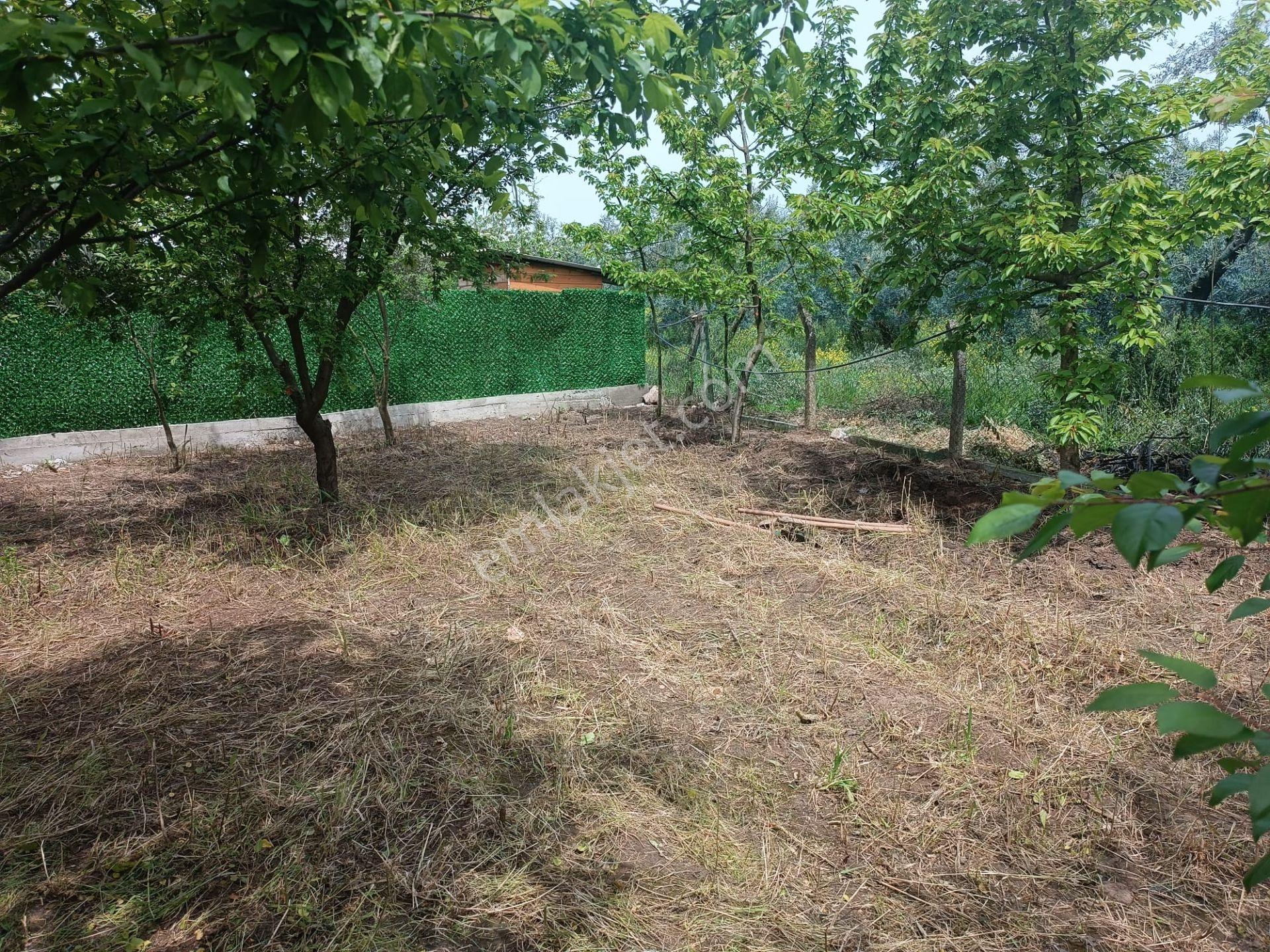 155 M², 1.620tl, Tapulu - Görsel 5