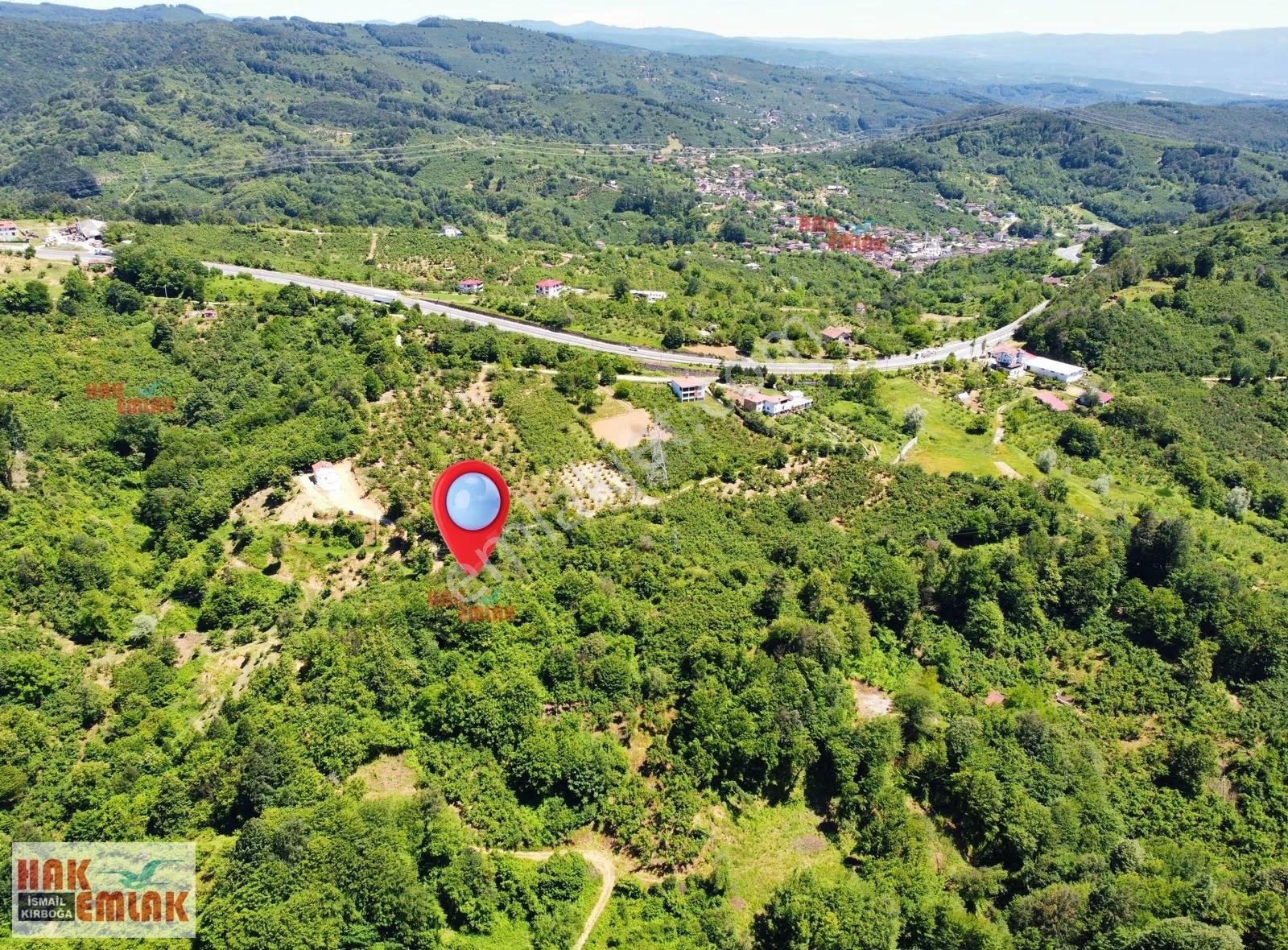 Hak Emlak'tan Boğaziçi Dokuzpınarda Doğa Harikası 5.379m² Bahçe - Görsel 13