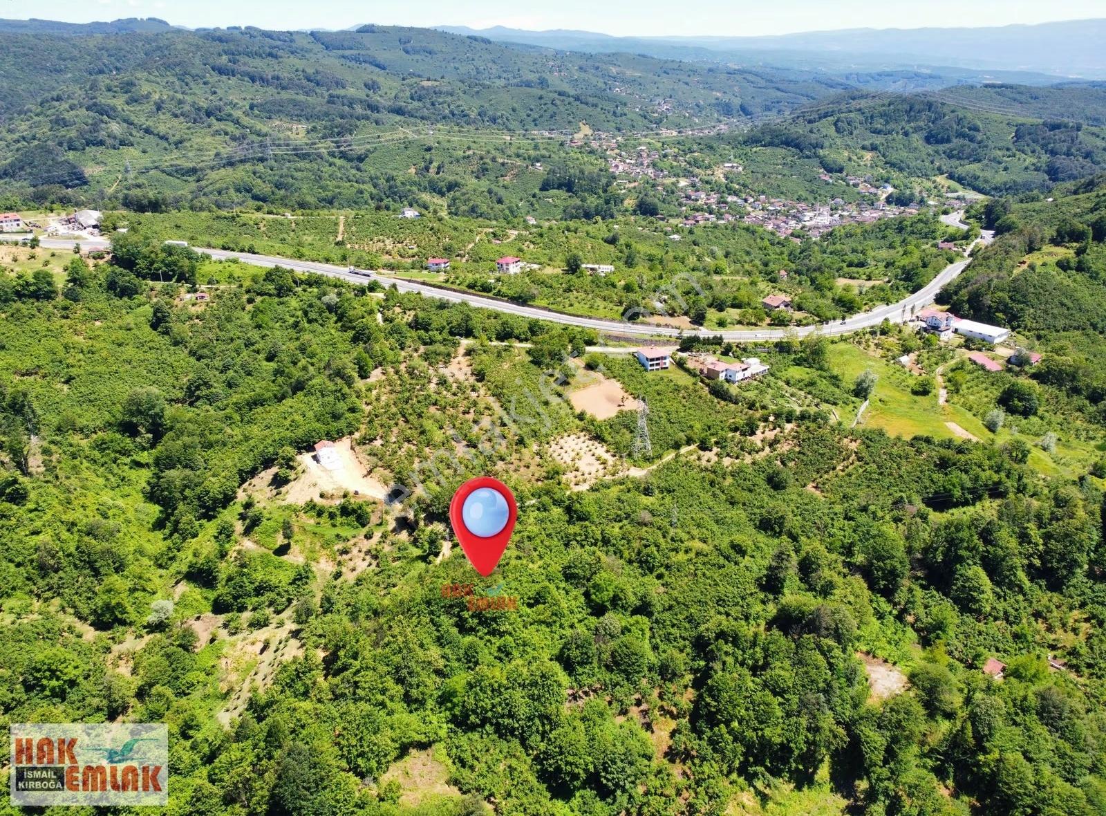 Hak Emlak'tan Boğaziçi Dokuzpınarda Doğa Harikası 5.379m² Bahçe - Görsel 22
