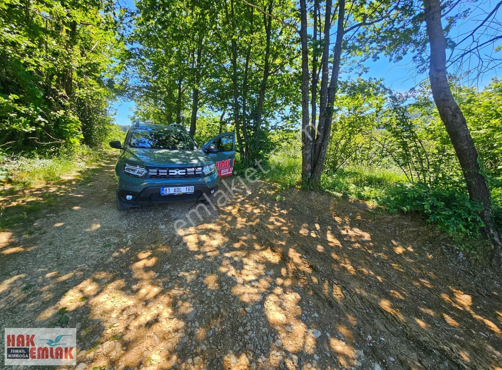 Hak Emlak'tan Boğaziçi Dokuzpınarda Doğa Harikası 5.379m² Bahçe - Görsel 19