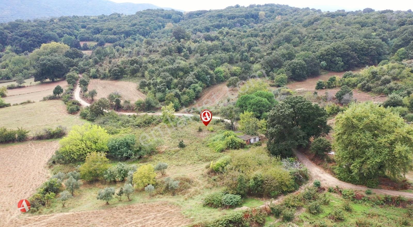 Lapseki, Güreci, Köye Yakın, Yola Cephe 743 M2 Satılık Arazi - Görsel 5