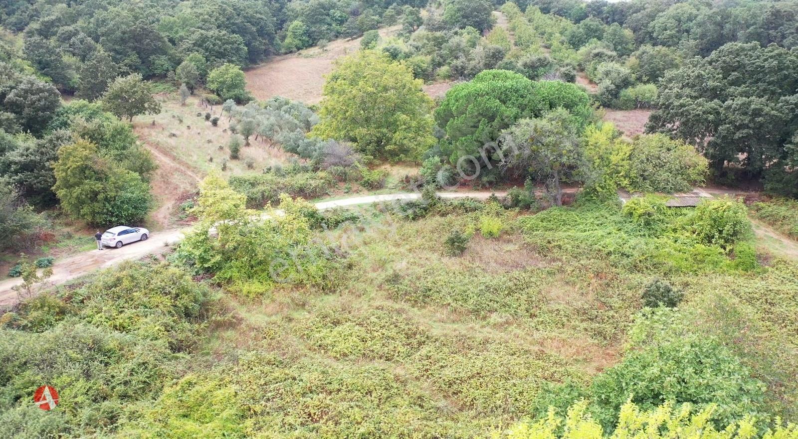 Lapseki, Güreci, Köye Yakın, Yola Cephe 743 M2 Satılık Arazi - Görsel 3