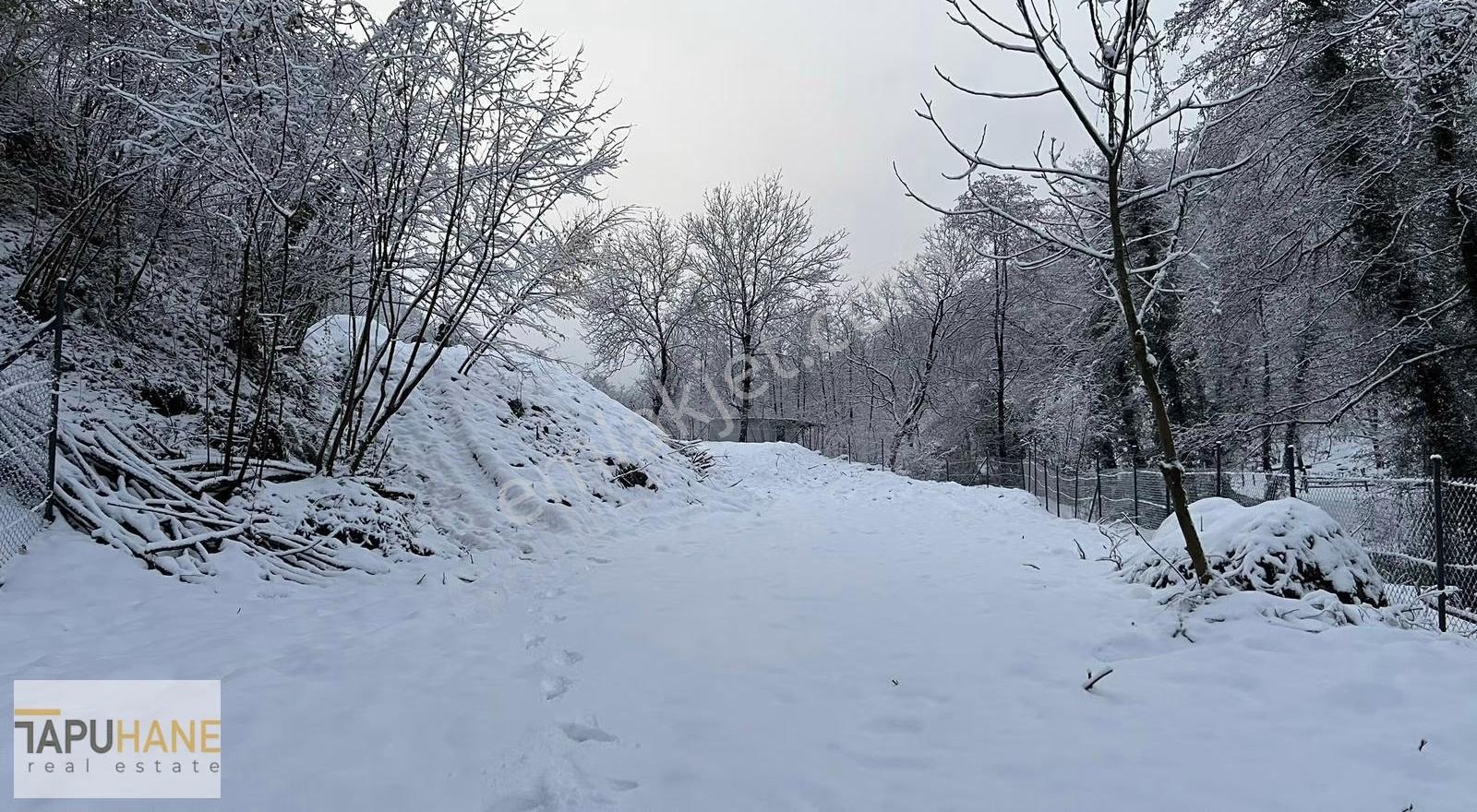 Saklı Cennet! Eşsiz Doğasıyla 2662m2 Satılık Konteynerlı Parsel - Görsel 3