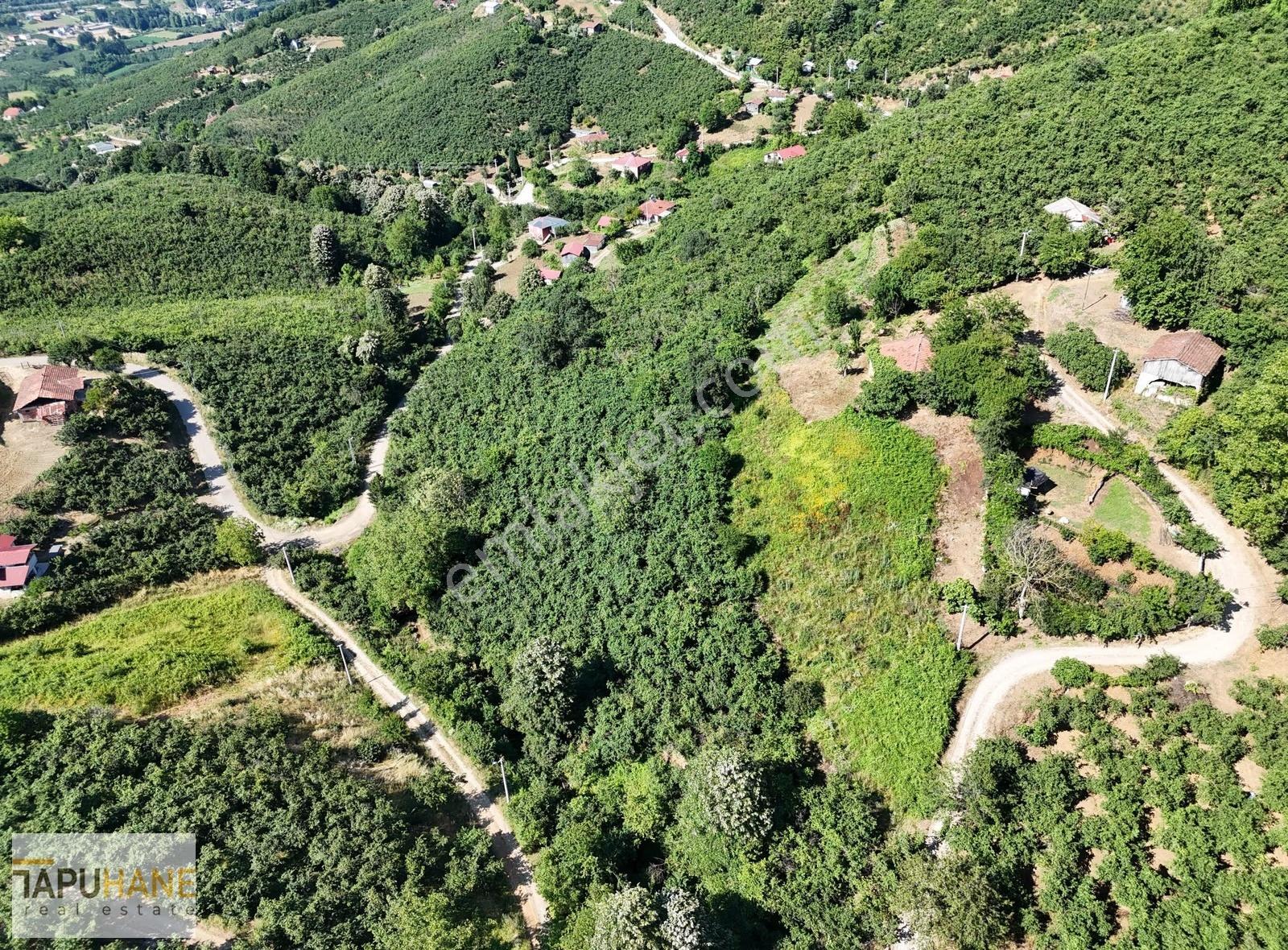 Tapuhaneden Harmantepe Köyünde 4.925m2 İmarlı Arsa - Görsel 6