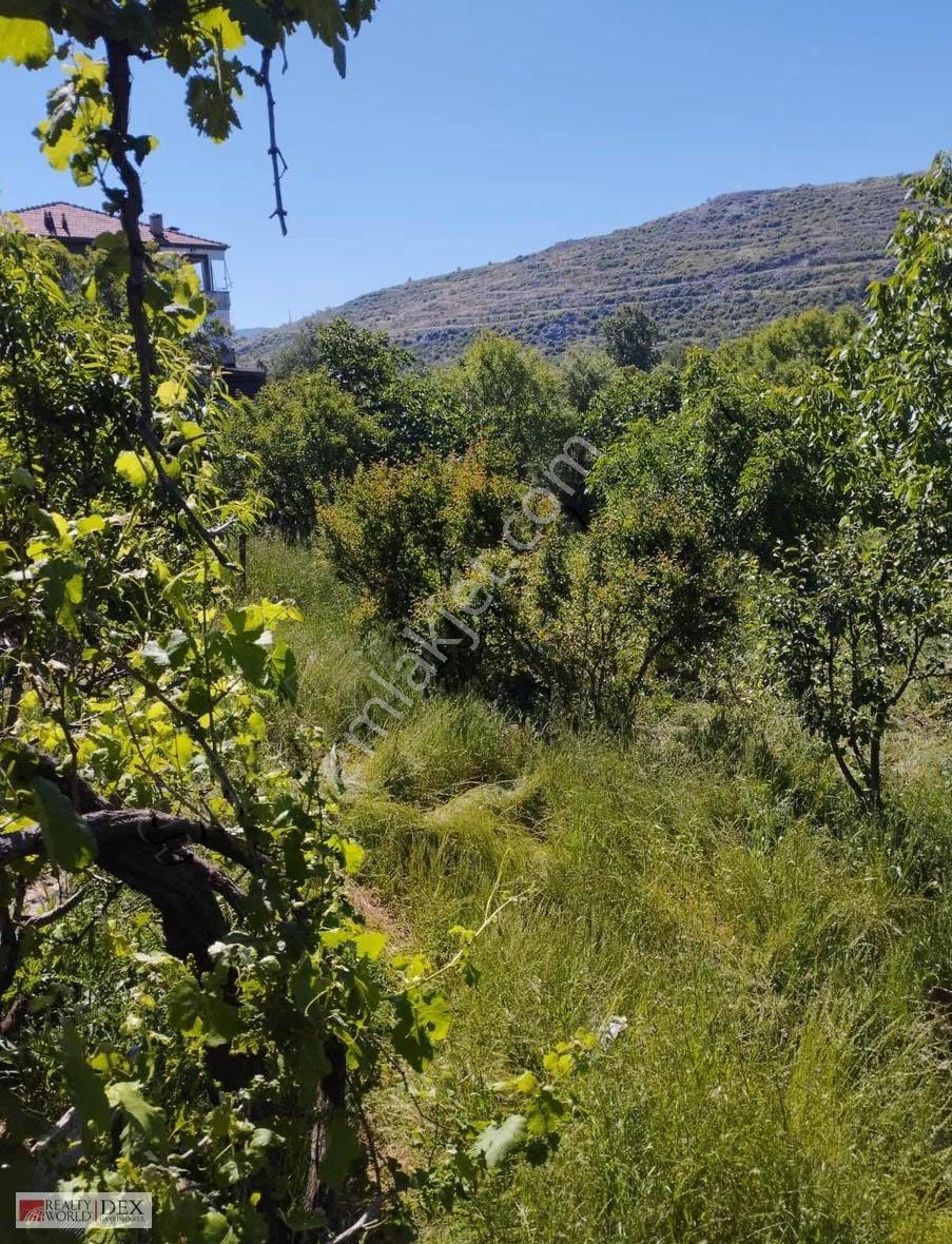 Alanya Güzelbağ'da Satılık 1.900m2 Arsa - Görsel 4