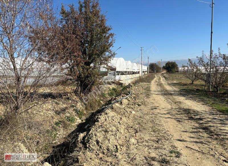 Kaçırılmayacak Fırsat! Antalya Elmalı Akçayda 4900 M² Tarla
