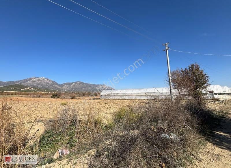 Kaçırılmayacak Fırsat! Antalya Elmalı Akçayda 4900 M² Tarla - Görsel 2