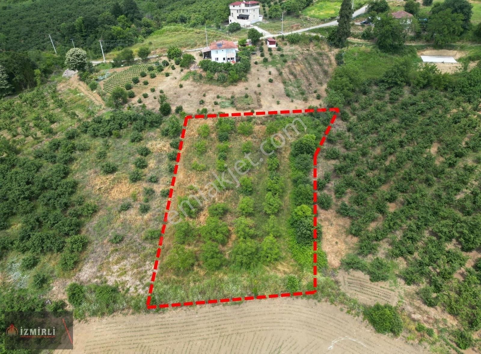 Ferizli'de Geleceğe Yatırım: 1.989 M² Verimli, Düz Zemin