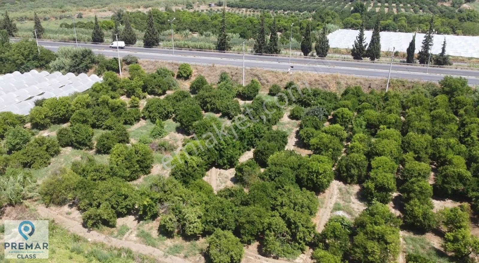 Aydın Nazilli İsabeyli Yatırımınızı Kazanca Dönüştürecek Fırsat - Görsel 6