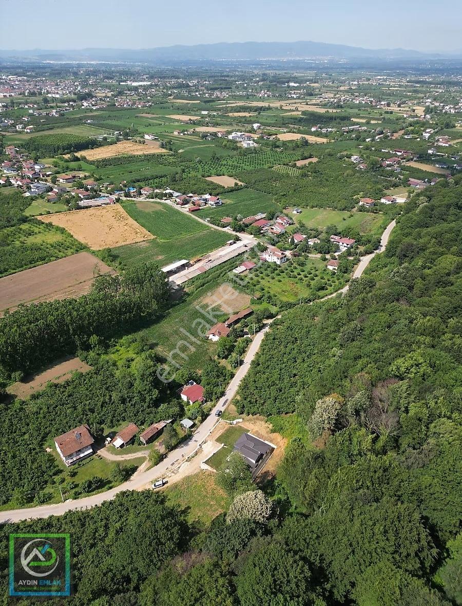 Satılık Konut İmarlı Arsa 1.287 M2 Alaağaç / Akyazı - Görsel 4