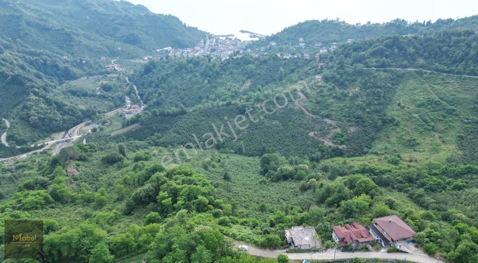 Fatsa Yalıköy Full Deniz Manzaralı Ev Yapımına Çok Uygun 1619 M2 - Görsel 22