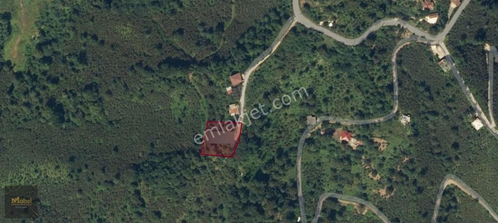 Fatsa Yalıköy Full Deniz Manzaralı Ev Yapımına Çok Uygun 1619 M2 - Görsel 17