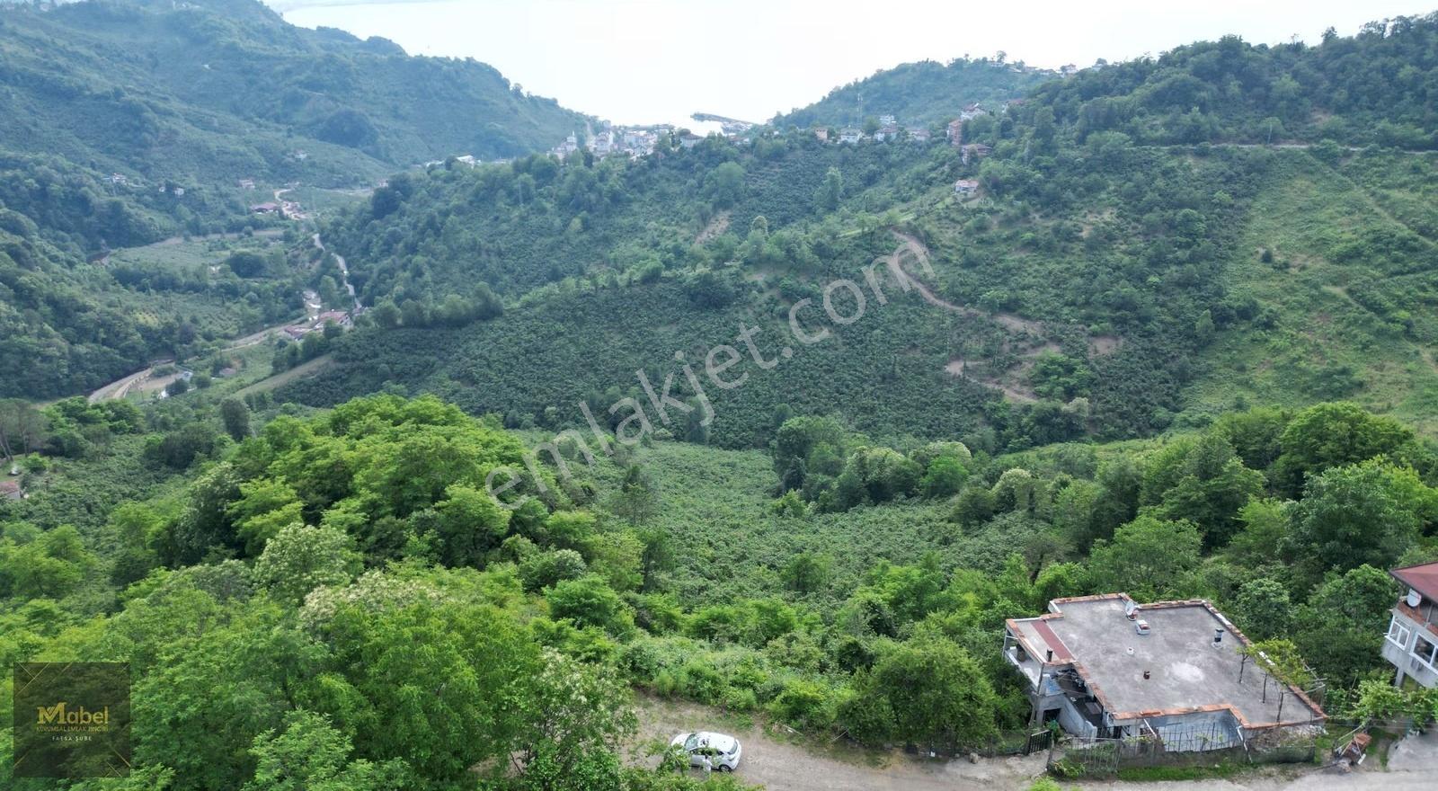 Fatsa Yalıköy Full Deniz Manzaralı Ev Yapımına Çok Uygun 1619 M2 - Görsel 21