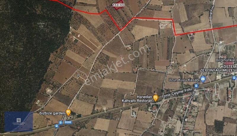 Urla Birgi'de, Bağların Ve Zeytinliklerin Arasında Ege'nin Saklı - Görsel 8