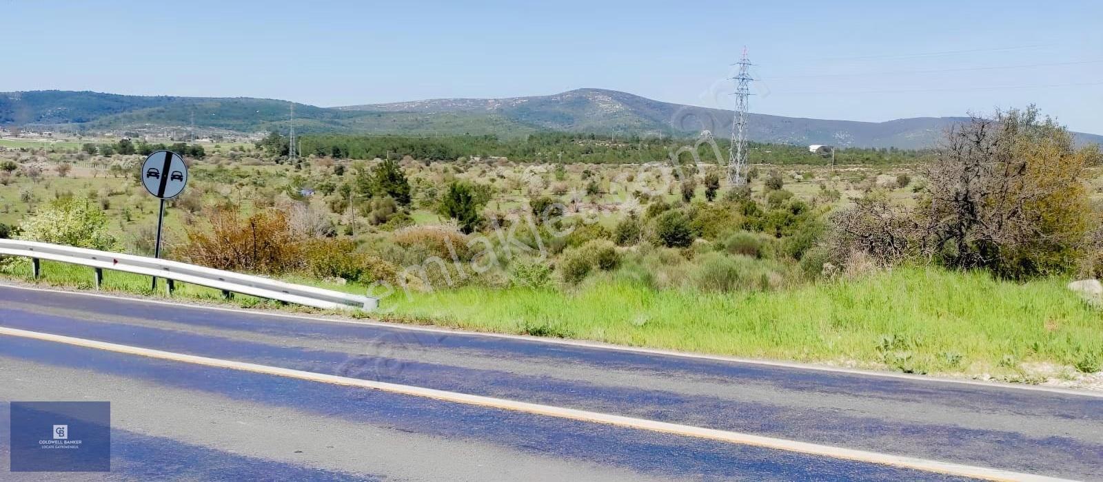Urla Birgi'de, Doğanın Kalbinde Değerli Bir Yatırım Fırsatı - Görsel 7