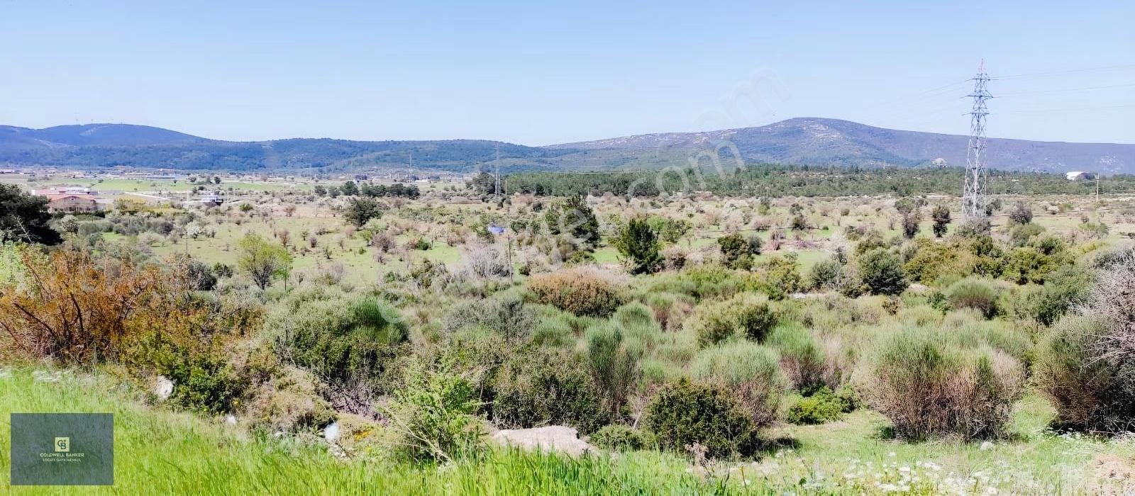 Urla Birgi'de, Doğanın Kalbinde Değerli Bir Yatırım Fırsatı - Görsel 4