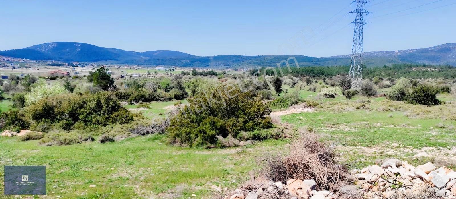 Urla Birgi'de, Doğanın Kalbinde Değerli Bir Yatırım Fırsatı - Görsel 5